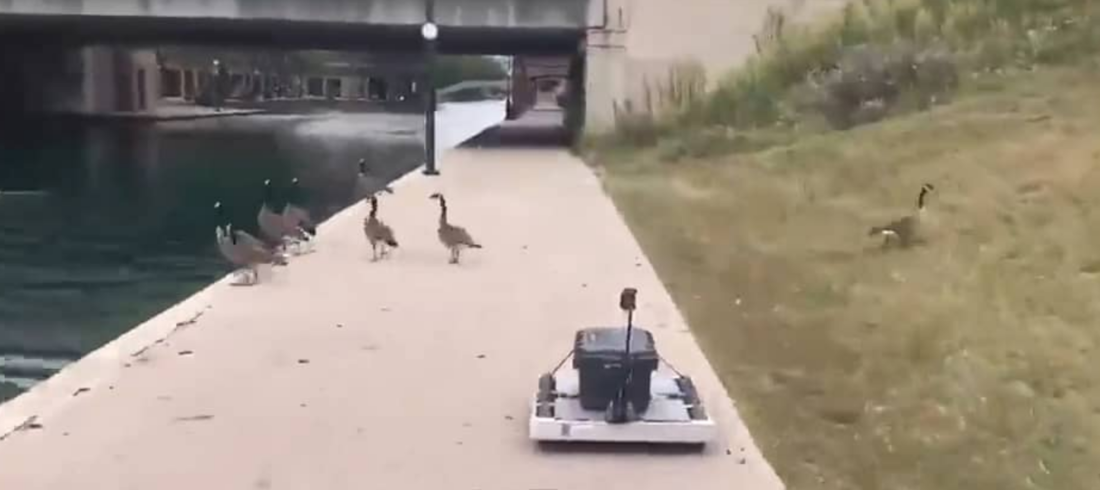 Impersonate.ai - Navigating around the Indy Canal