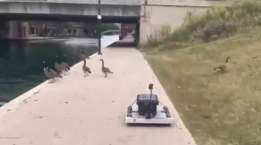 Impersonate.ai - Navigating around the Indy Canal